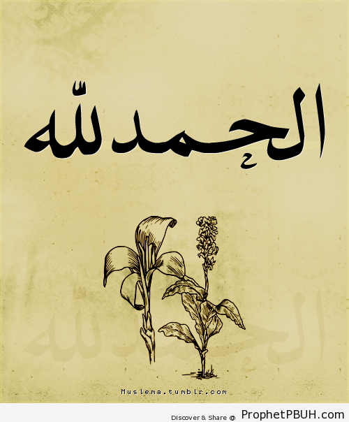 Alhamdulillah - Alhamdulillah Calligraphy and Typography -006