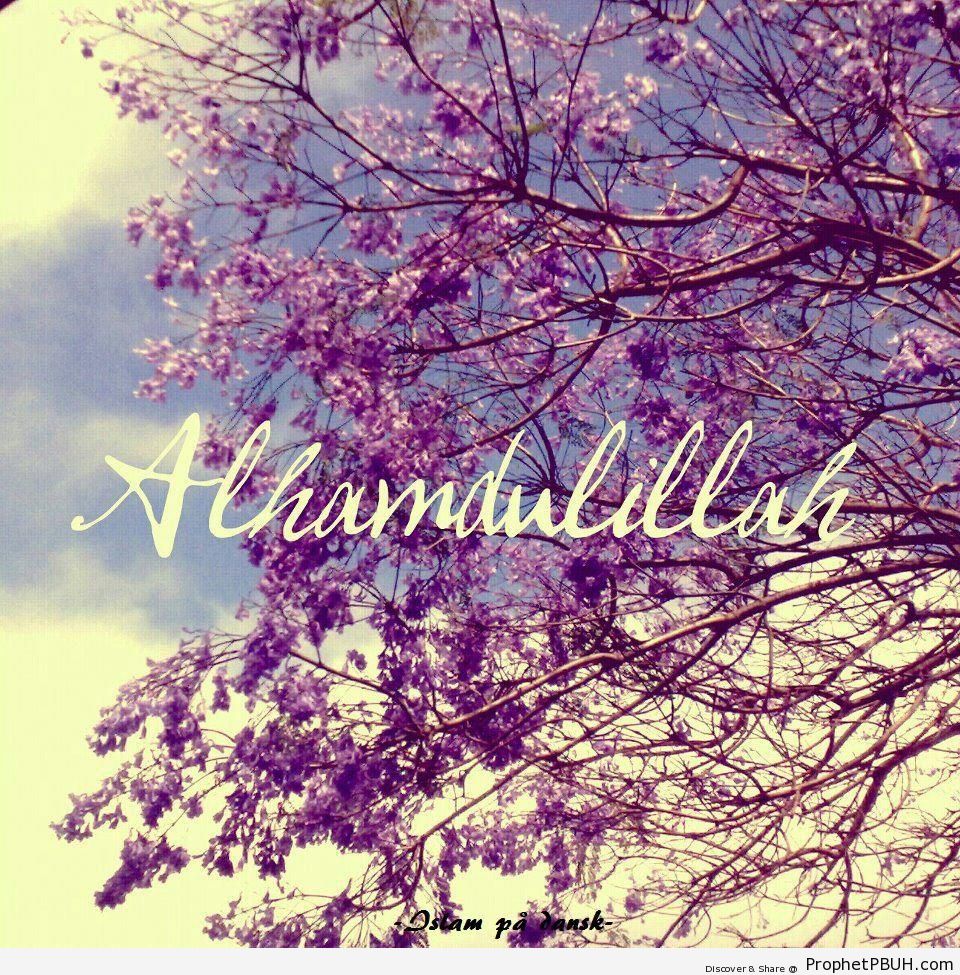 Alhamdulillah on Purple Flowering Tree - Alhamdulillah Calligraphy and Typography 