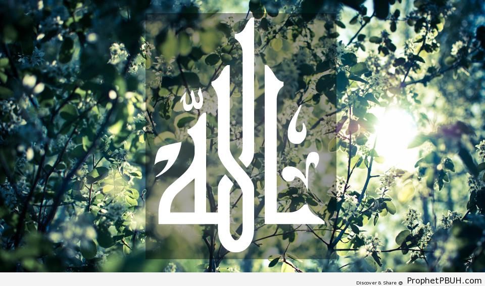 Allah Calligraphy - Allah Calligraphy and Typography -013