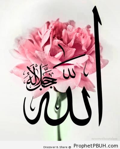 Allah calligraphy on rose photo - Allah Calligraphy and Typography
