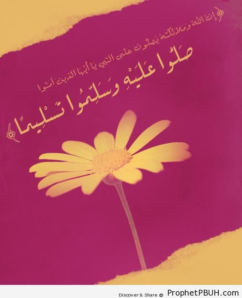 Ask Blessings Upon Prophet Muhammad ï·º (Quran 33-56; Surat al-Ahzab) - Photos of Flowers