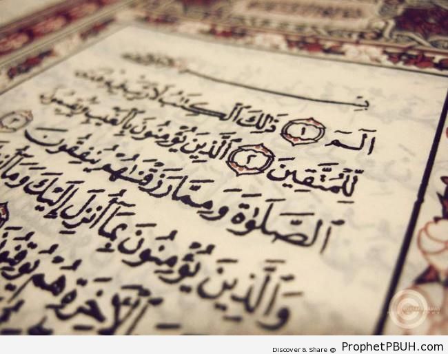 Beginning of al-Baqarah - Mushaf Photos (Books of Quran)