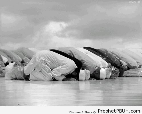 Black and White Shot of Muslim Men in Sujood Outdoors - Photos