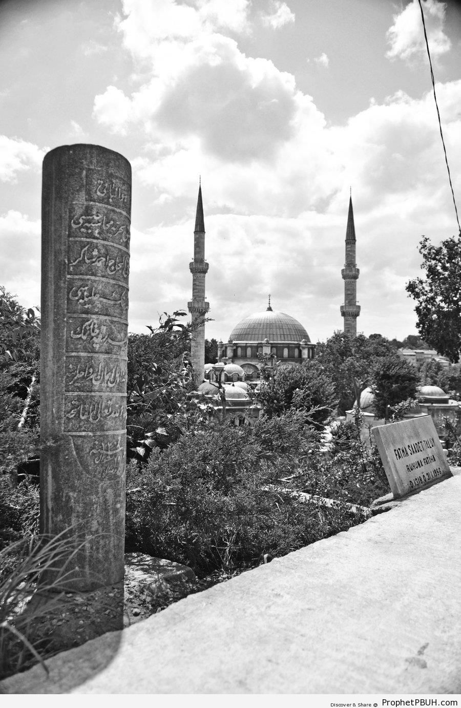 Black and White Shot of the EyÃ¼p Sultan Mosque on the European Side of Istanbul - Islamic Architecture -Picture