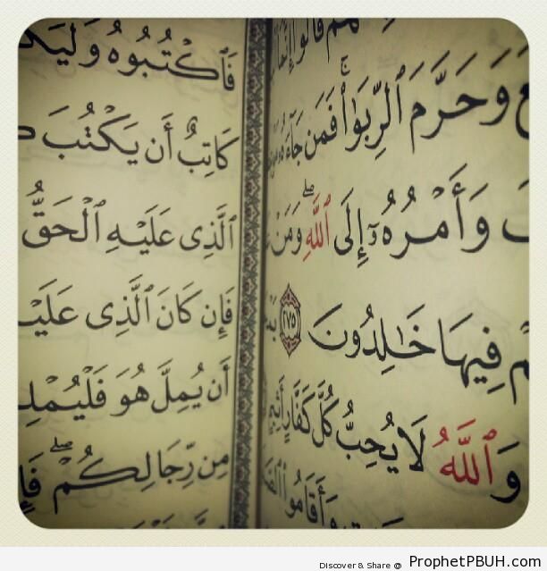 Book of Quran on Surat al-Baqarah - Mushaf Photos (Books of Quran)