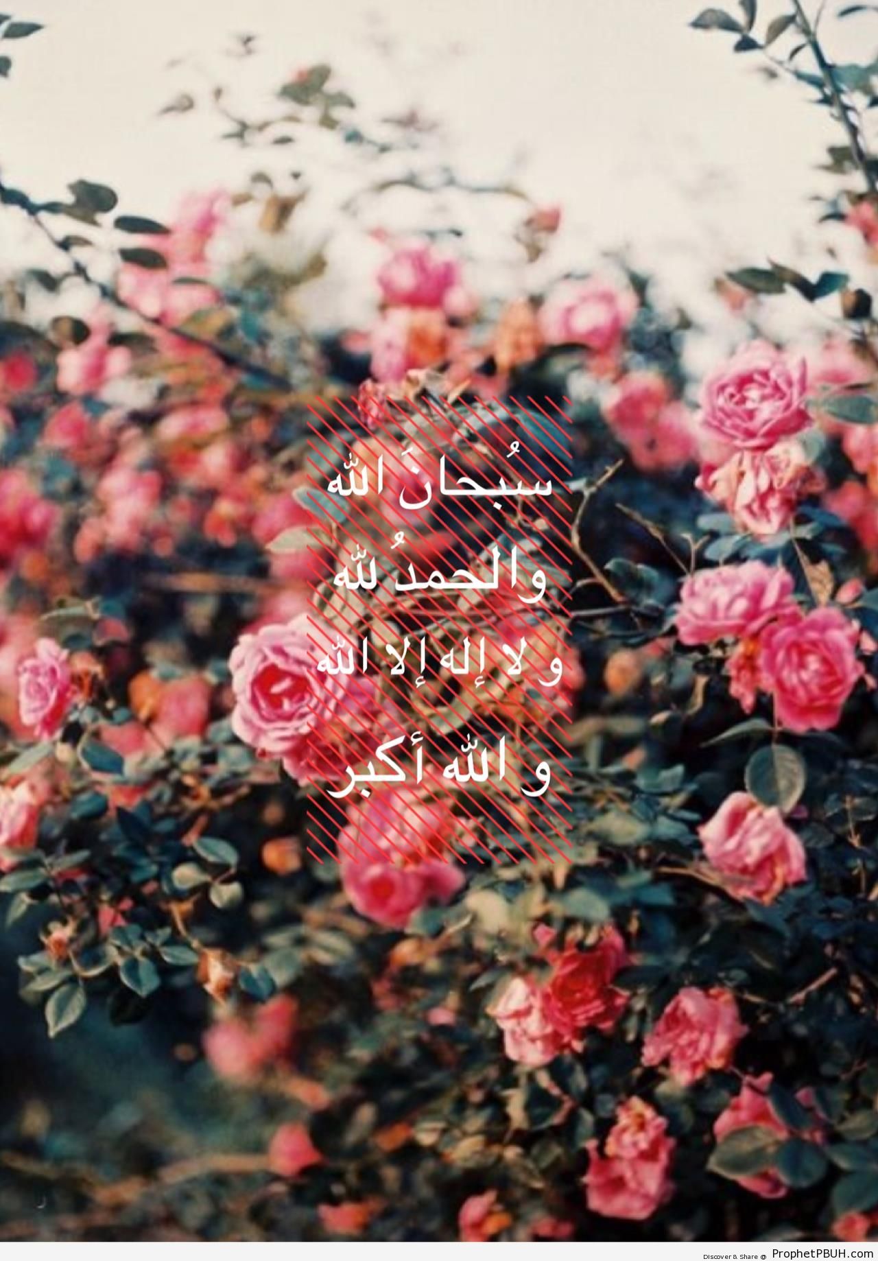 Dhikr Words on Roses - Dhikr Words - Pictures