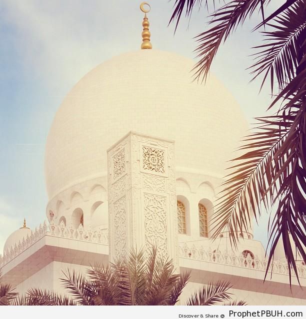 Dome and Arabesque Column, Sheikh Zayed Grand Mosque - Abu Dhabi, United Arab Emirates