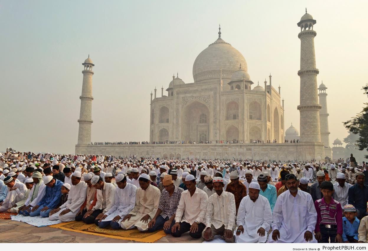 Eid al-Adha Prayers at Taj Mahal (Agra, India) - Agra, India 