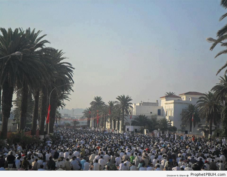 Eid al-Fitr 2012 Prayers in Tunisia - Photos -