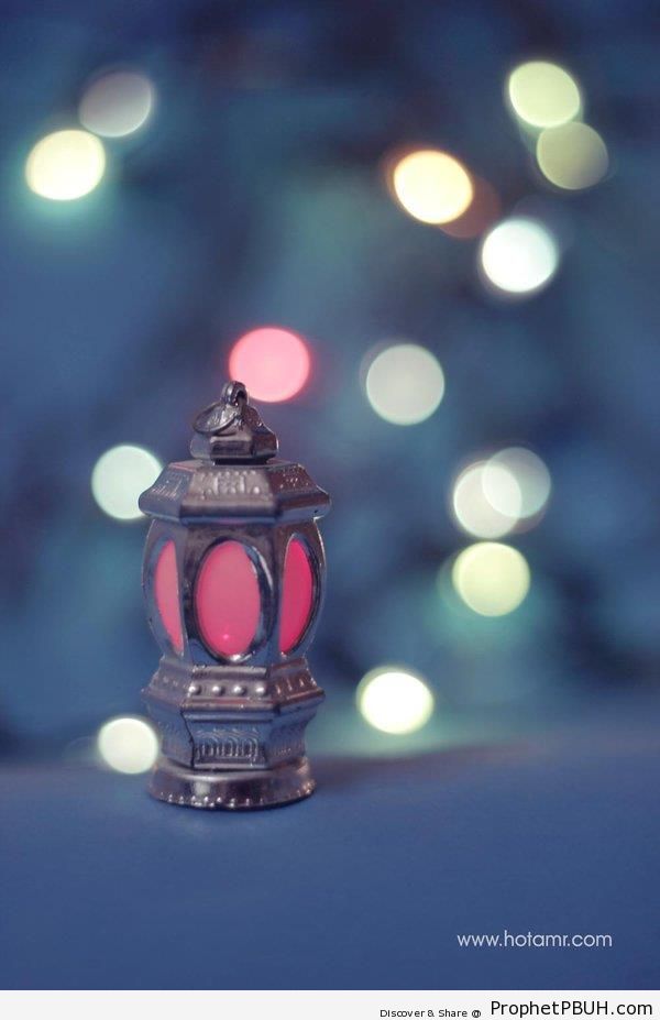 Fanoos (Islamic Lantern) - Islamic Lanterns