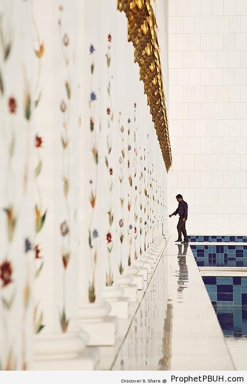 Flower Ornamentation on Wall at Sheikh Zayed Grand Mosque - Abu Dhabi, United Arab Emirates