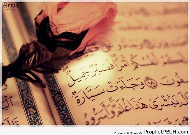 Flower on Surat Yusuf - Mushaf Photos (Books of Quran)