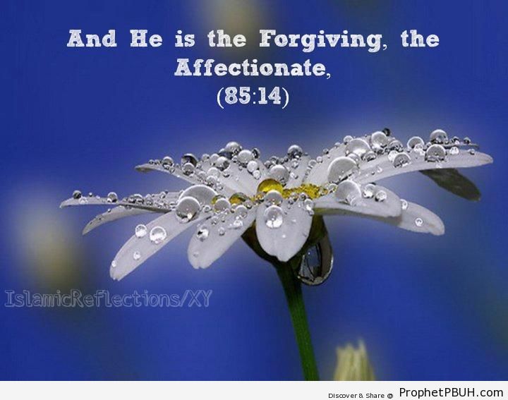He is The Forgiving, The Affectionate - Islamic Quotes About Allah's Forgiveness