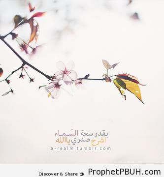 Islamic Pictures (1)
