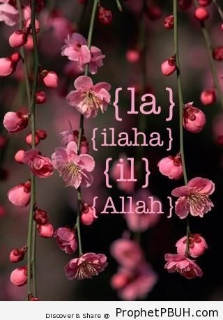 La Ilaha IlAllah on Cherry Blossoms (English Transliteration) - Islamic Calligraphy and Typography