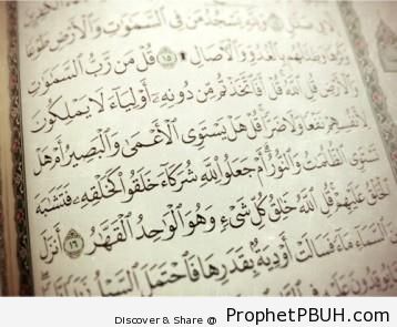 Meaningful Islamic Teachings (81)