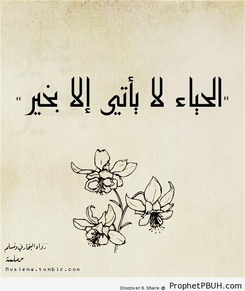 Modesty (Prophet Muhammad ï·º Quote) - Drawings