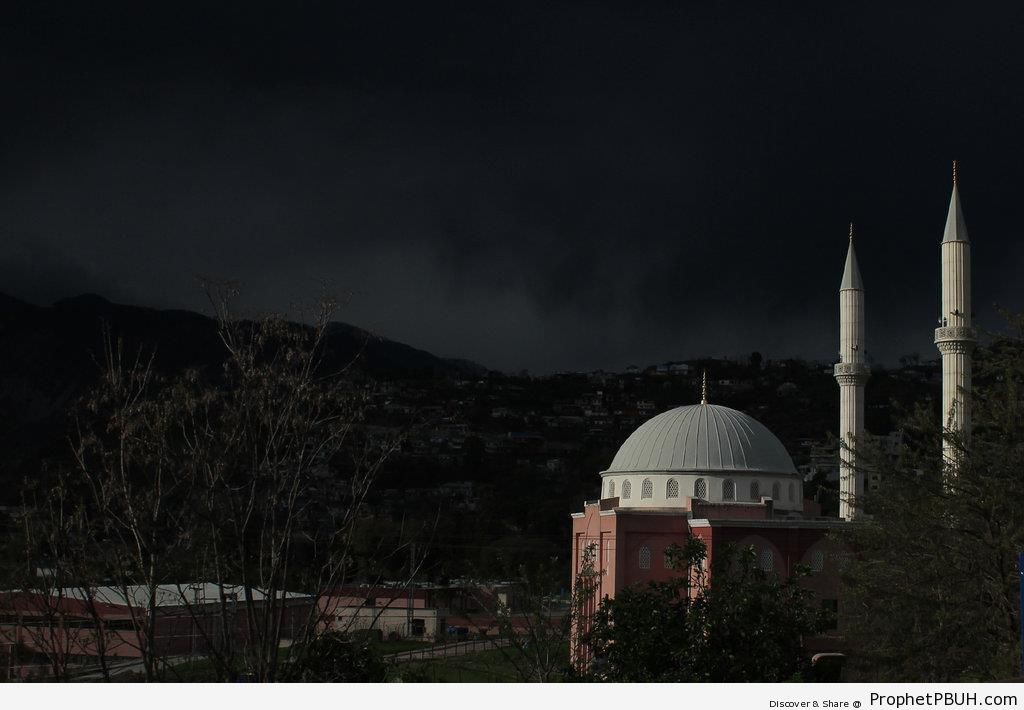 Mosque in Kashmir - Kashmir -Picture