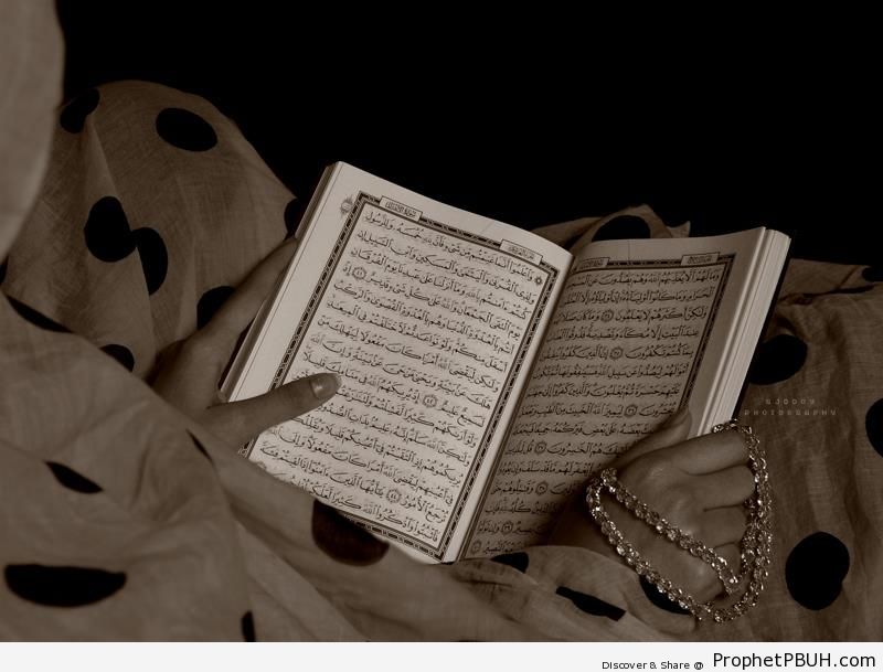 Muslim Woman Reading Quran - Mushaf Photos (Books of Quran) 