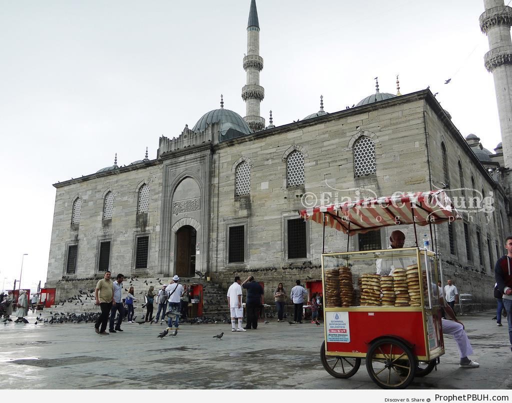 Outside Istanbul-s New Mosque (Mosque of the Valide Sultan) - Islamic Architecture -Picture