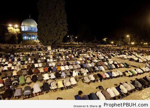 Palestinian Muslims Pray Taraweeh at the Al-Aqsa Compound in Jerusalem (Ramadan 2012) - Al-Quds (Jerusalem), Palestine