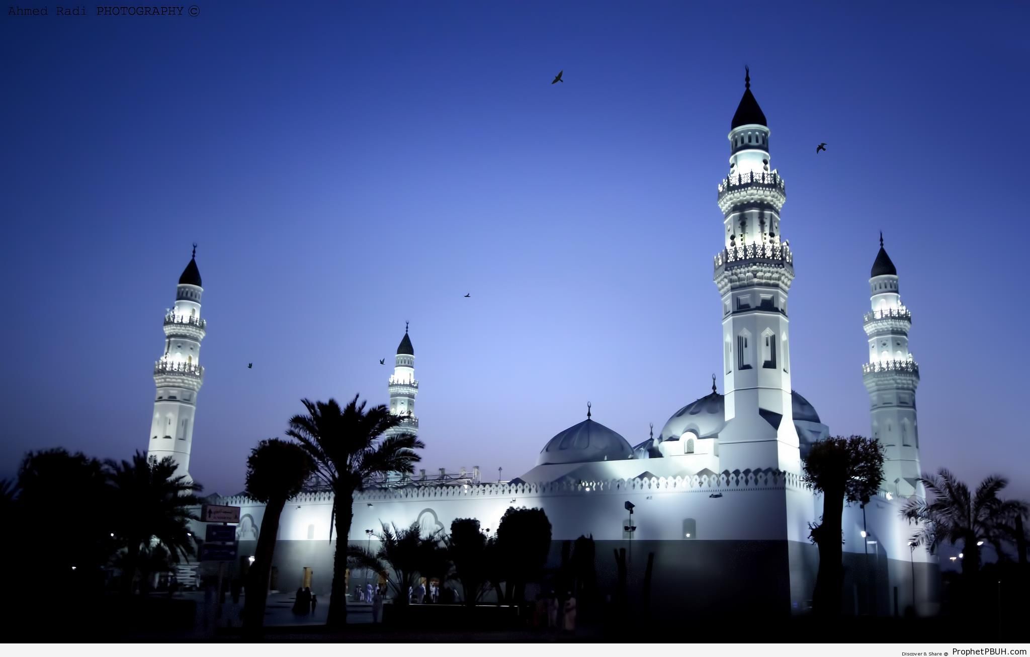 Peaceful Evening at Masjid Quba- (The First Mosque of Islam) in Madinah - Islamic Architecture -Picture