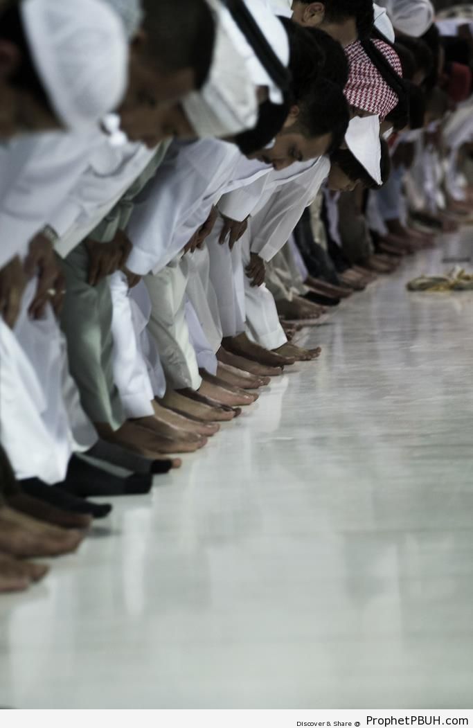 Photo of Praying Muslim Men at Ruku` - Photos of Male Muslims -