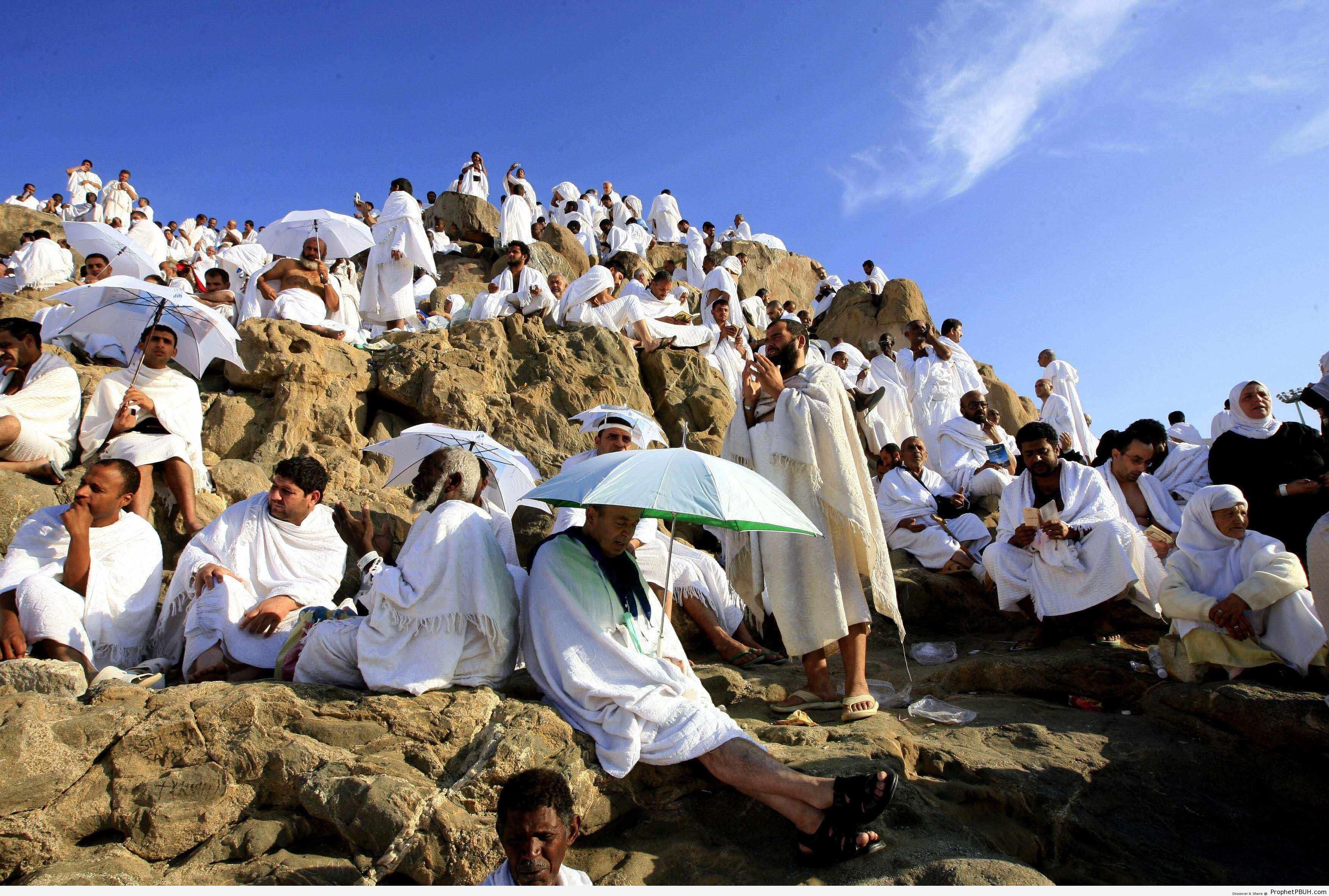 Pilgrims on Mount Arafah - Photos -