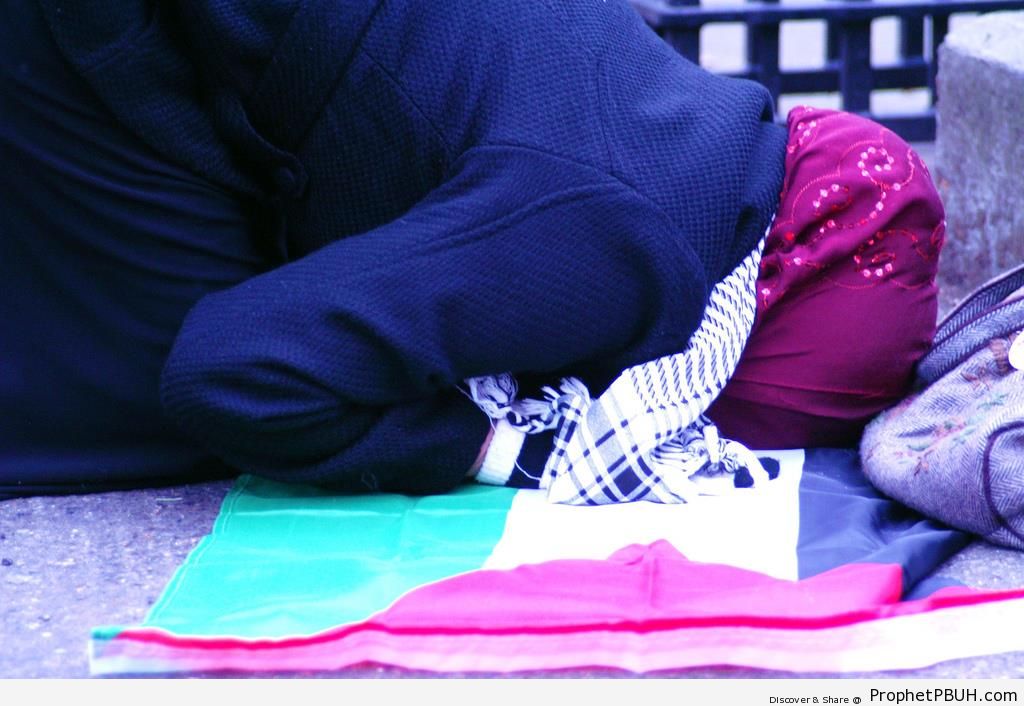 Praying Palestinian Woman - Photos of Muslim People -