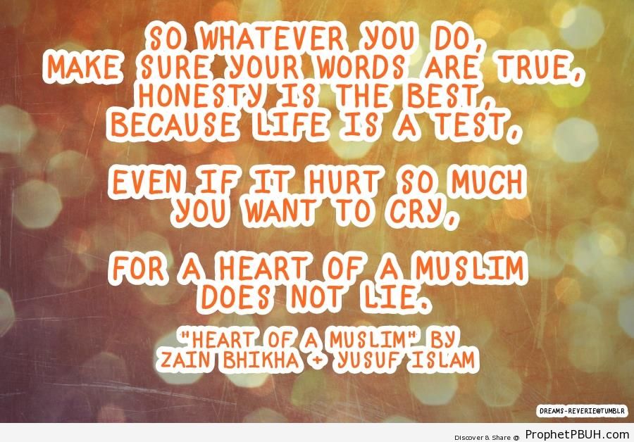 Quotes by Muslim Speakers (6)