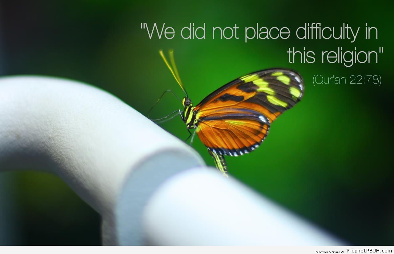 Quran 22-78 on Butterfly Photo - Islamic Quotes 