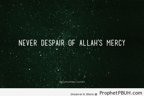 Quran 39-53 - Quran 39-53 (-...do not despair of Allah's mercy...-) 