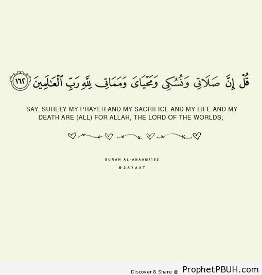 Quran 6-162 - Surat al-Anaam - Islamic Quotes