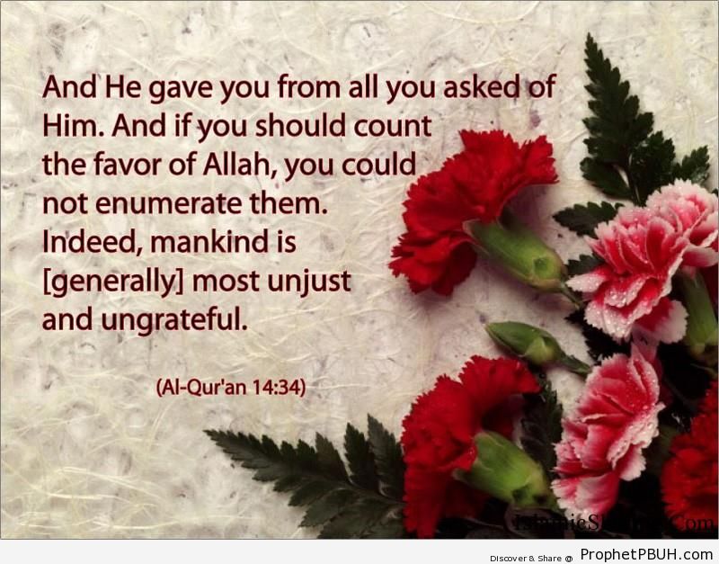 Quran Chapter 14 Verse 34
