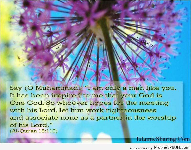 Quran Chapter 18 Verse 110