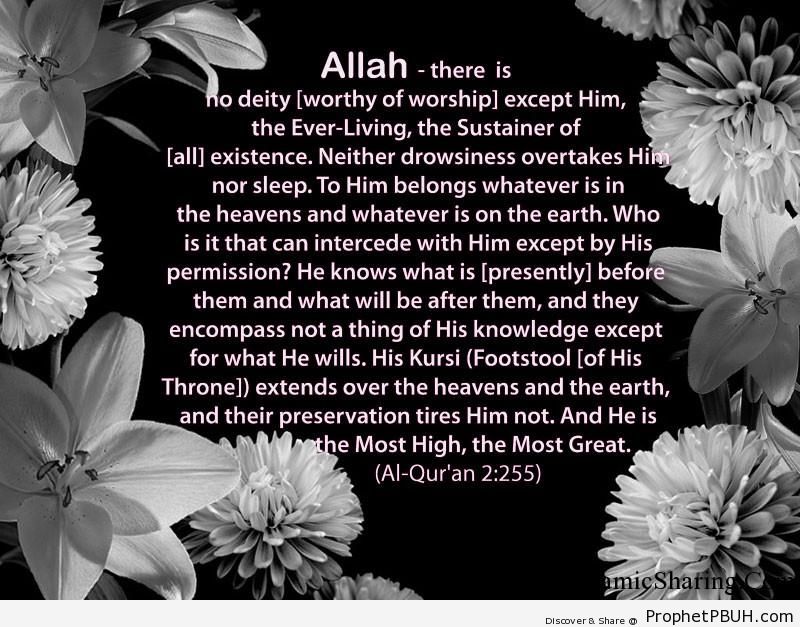 Quran Chapter 2 Verse 2551