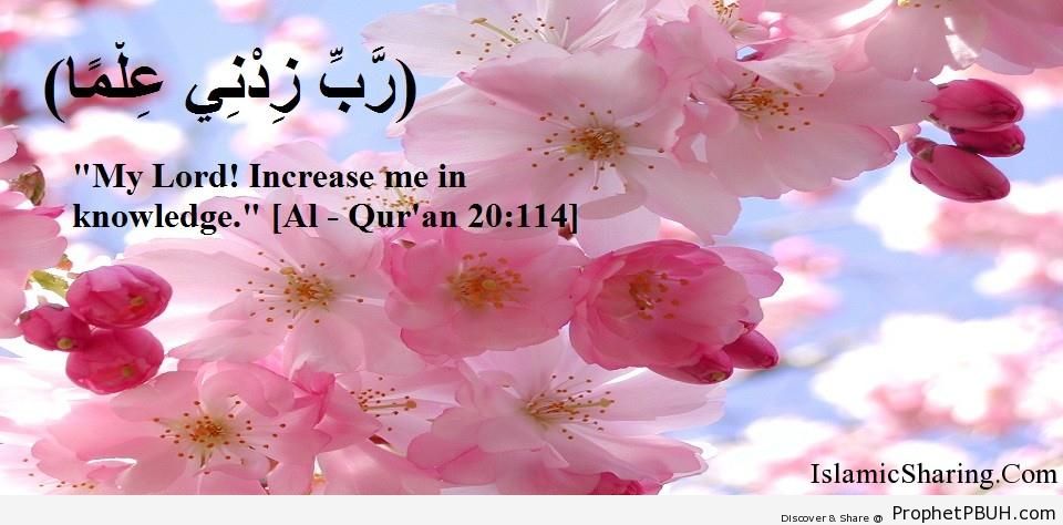 Quran Chapter 20 Verse 114