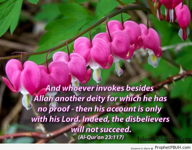 Quran Chapter 23 Verse 117