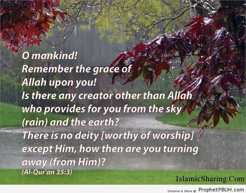 Quran Chapter 35 Verse 3