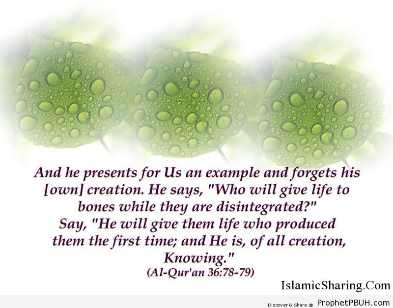 Quran Chapter 36 Verse 78 79
