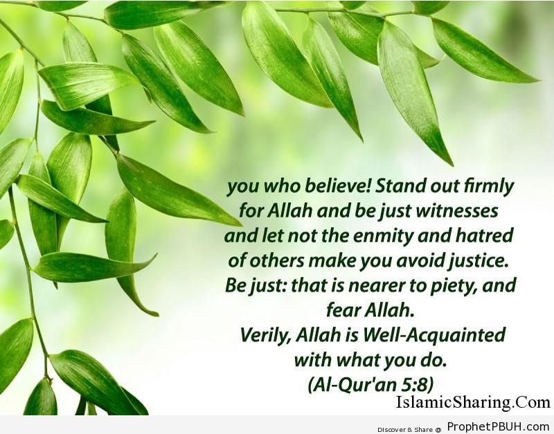 Quran Chapter 5 Verse 8