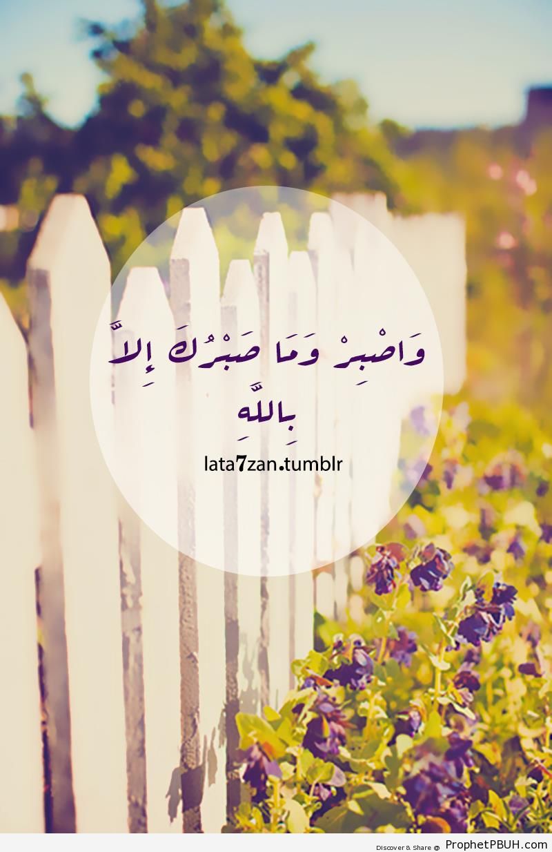 Quran- Endure With Patience - Islamic Quotes 