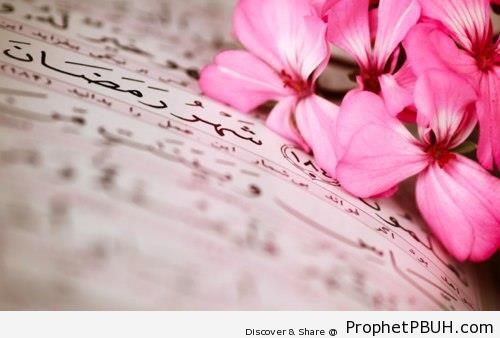 Ramadan and Flowers - Mushaf Photos (Books of Quran)