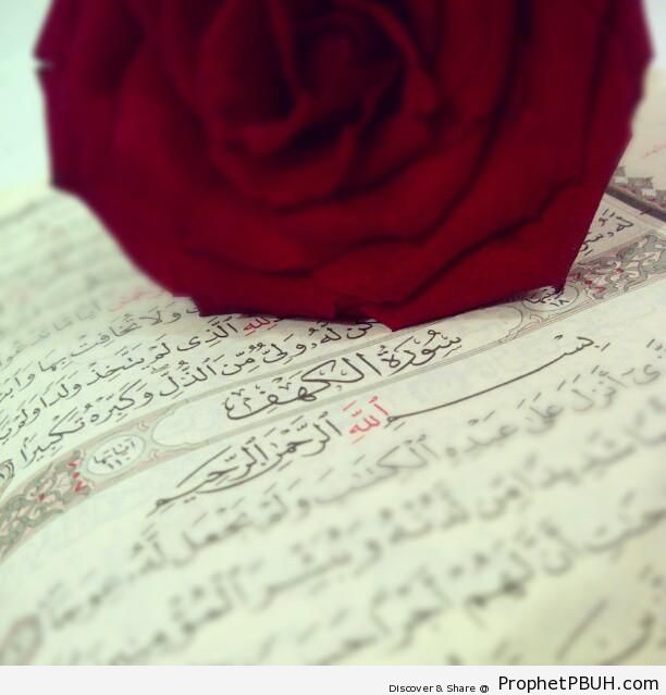 Rose & al-Kahf - Mushaf Photos (Books of Quran)
