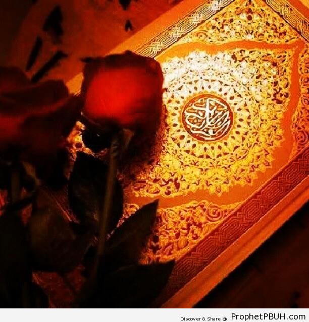 Rose and Mushaf - Mushaf Photos (Books of Quran)