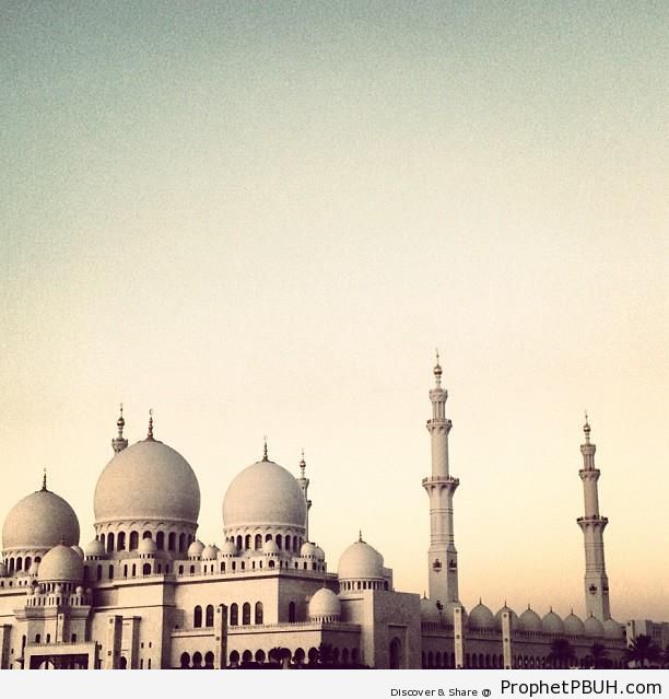 Sheikh Zayed Grand Mosque - Abu Dhabi, United Arab Emirates -002