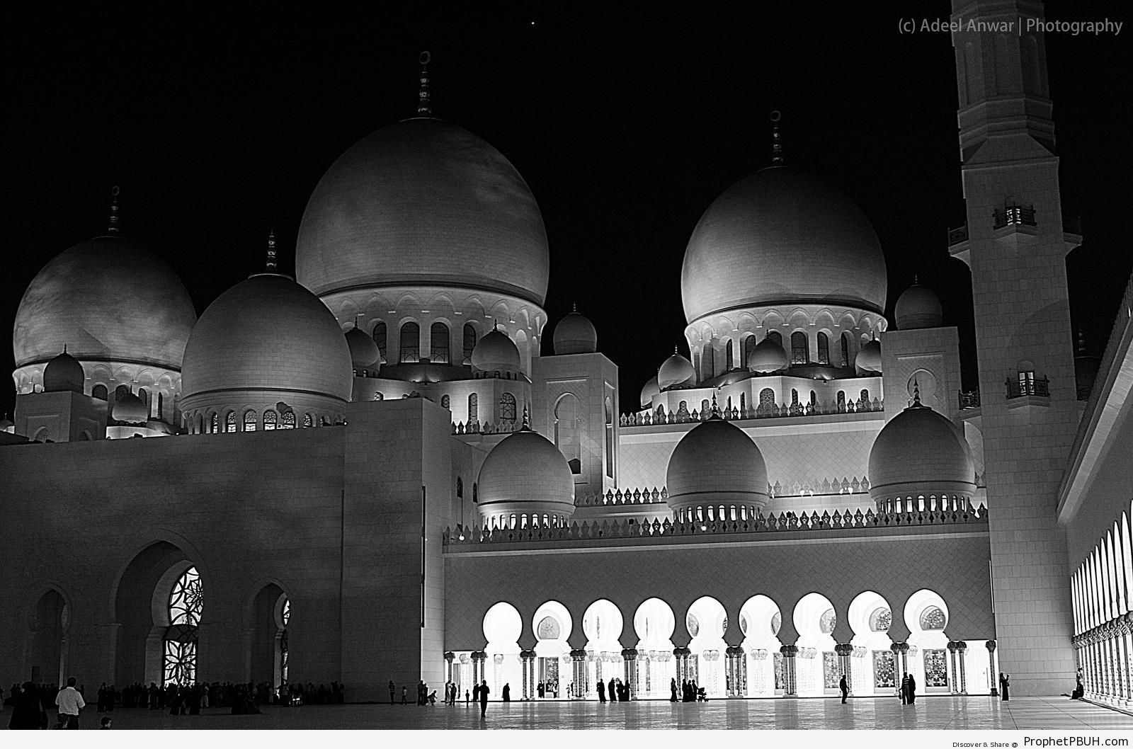 Sheikh Zayed Grand Mosque (Black and White Nighttime Photo) in Abu Dhabi, the UAE - Abu Dhabi, United Arab Emirates -Picture