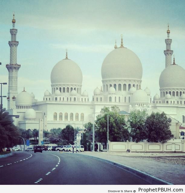 Sheikh Zayed Grand Mosque in Abu Dhabi, United Arab Emirates - Abu Dhabi, United Arab Emirates -003