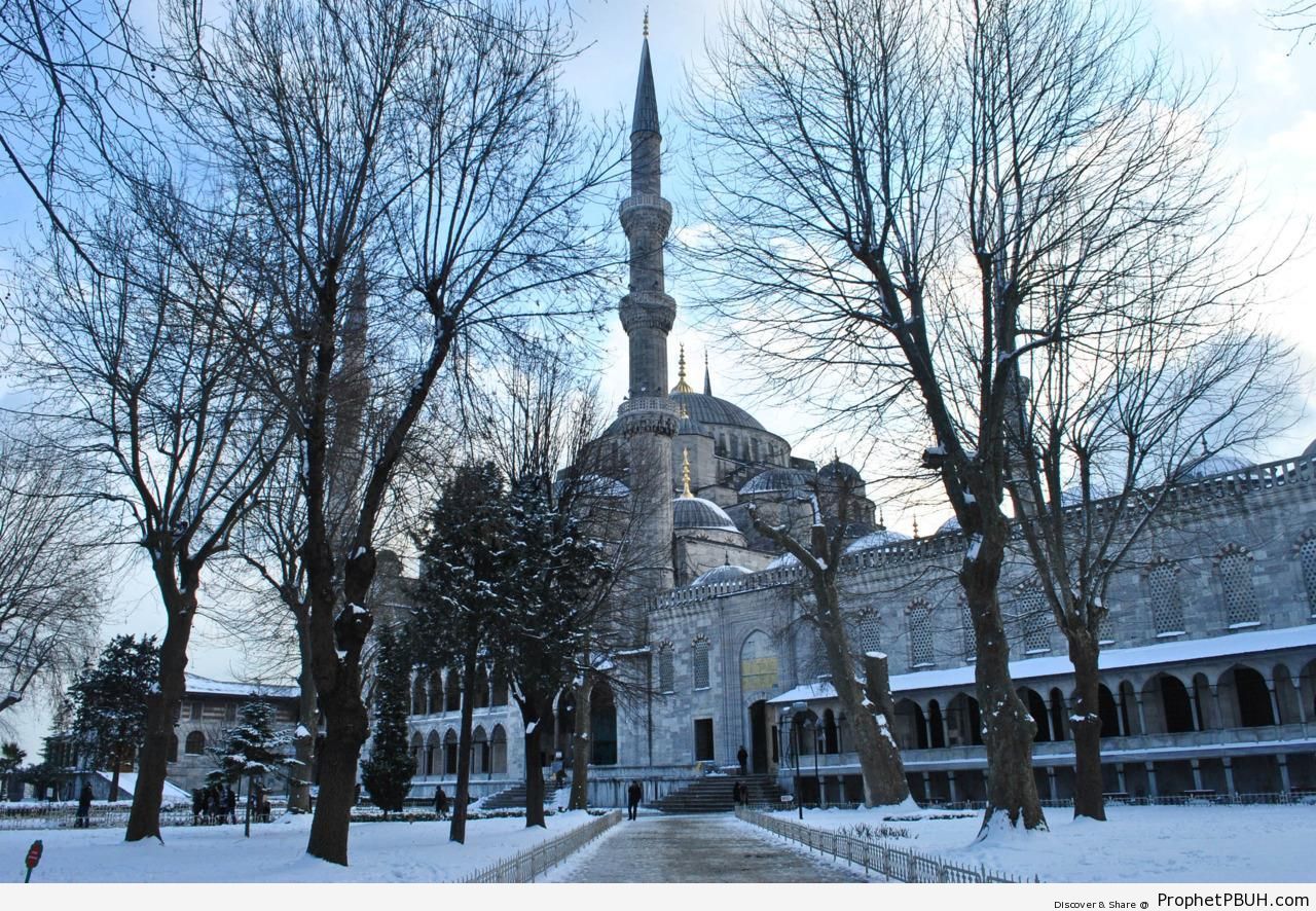 Snowy Blue Mosque (Istanbul, Turkey) - Islamic Architecture -Picture