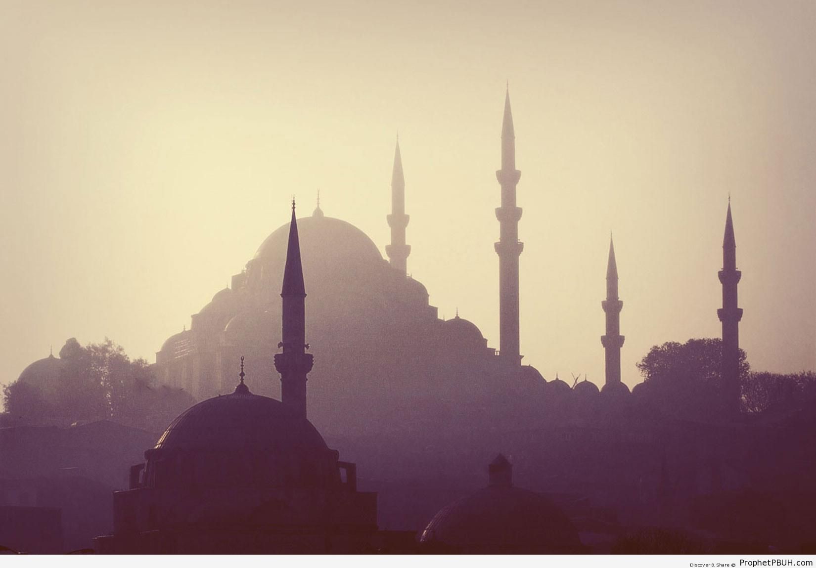 SÃ¼leymaniye Mosque in Istanbul, Turkey - Islamic Architecture -Picture